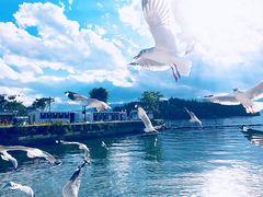 -南诏风情岛