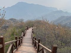-大岭沟猕猴桃谷风景区