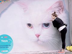 -方浜中路45弄小区