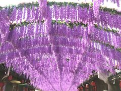 -婺源梦里老家大型山水实景演出