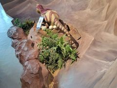 -安徽省地质博物馆