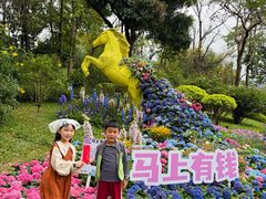 -云溪植物园