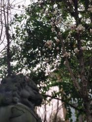 点击看大图 -莲生母婴月子中心(清水河公园店)