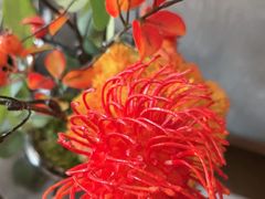 -百富源·海鲜辽菜(和平北大街店)