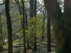 -石台牯牛降景区