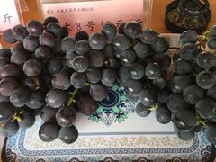 -白鹿原葡萄主题公园