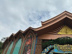 -西双版纳原始森林公园