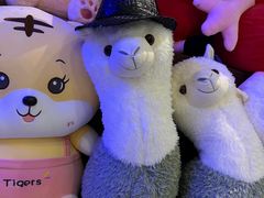 -格莱美量贩式KTV(国信店)