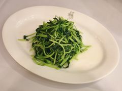 上汤鸡毛菜-苏浙汇(北京英蓝店)