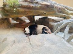 -宁波野生动物园