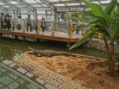 -石家庄市动物园