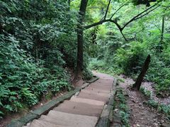 -青城山