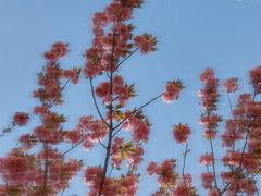 -北京天湖会议中心