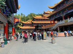 -东莞市大岭山森林公园