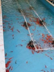 -萌宠亲子动物乐园(槐房万达店)