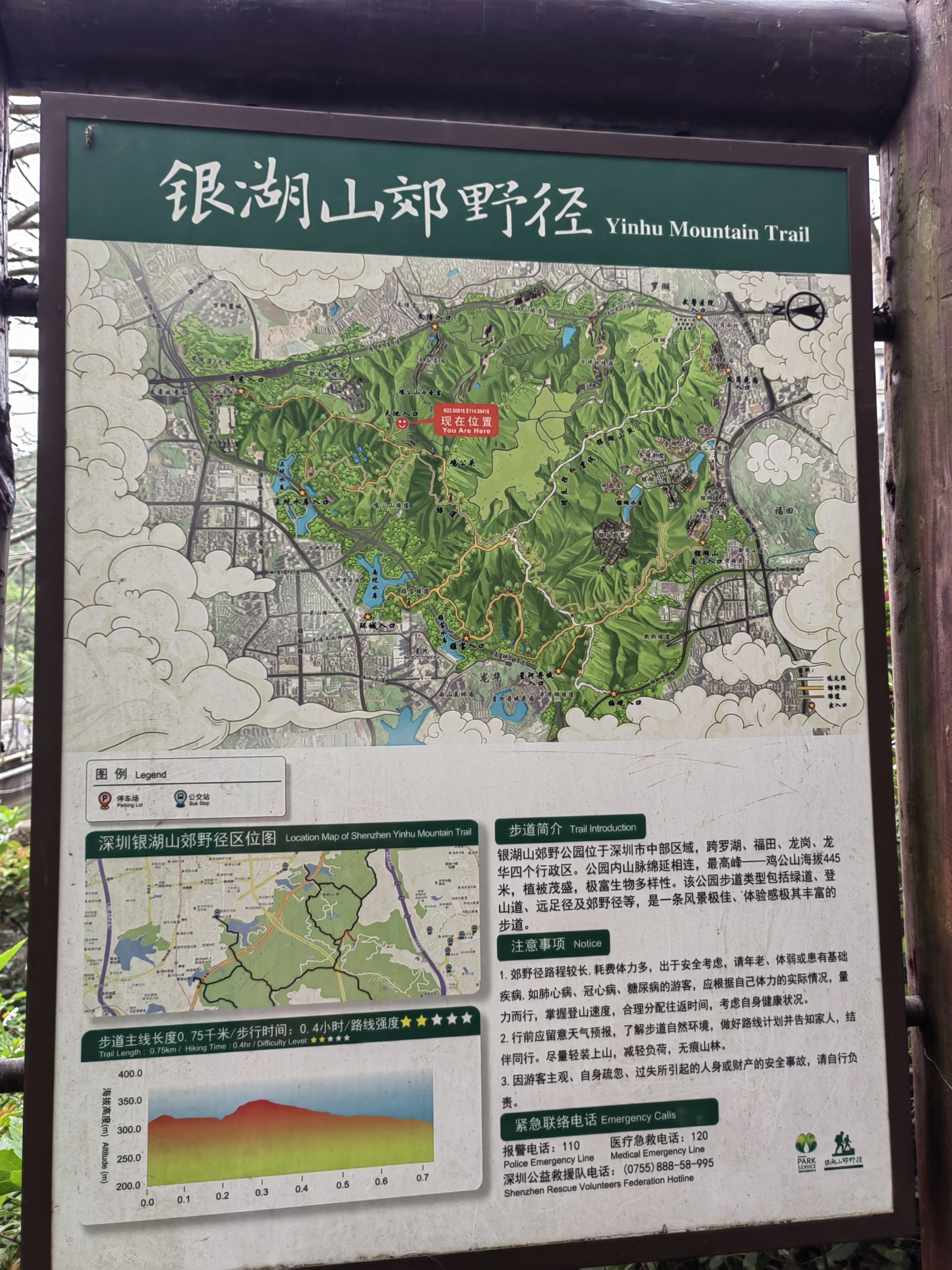 一片绿意盎然的好地方