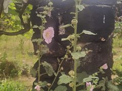 -文成城堡