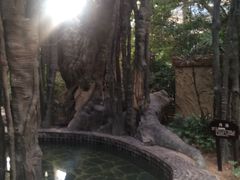 -龙达温泉生态城
