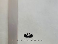 -BLACKSWAN黑天鹅(环球店)