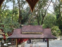 -西双版纳勐泐文化旅游区