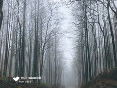 -山王坪喀斯特国家生态公园
