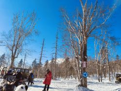 -大秃顶子山(雪谷店)