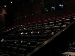 android_upload_pic-首都电影院(天津店 中国巨幕)