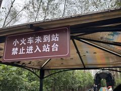 -合肥滨湖国家森林公园