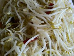 炒豆芽-伊林居饭庄央视清真八大碗