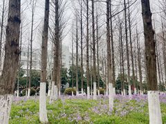 -河海大学(江宁校区)