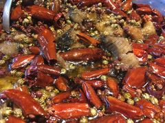 水煮鲶鱼-望京一号·重庆江湖菜(工体店)