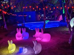 -枫花园汽车电影院(朝阳公园店)