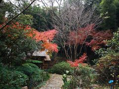 -上海市保健医疗中心