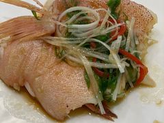 东星斑-虹御轩·传承江浙菜(虹桥店)