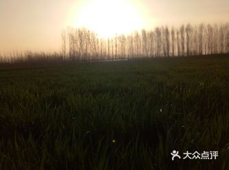 东昌湖里的小虾真的很棒。我很喜欢的一个地方