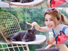 -猫咪博物馆(顶澳仔猫街店)