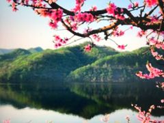 -河口景区