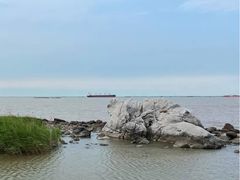 -上海吴淞炮台湾国家湿地公园
