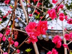 -乌山风景区