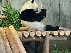 -深圳野生动物园