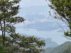 -梧桐山风景名胜区