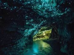 -怀托摩萤火虫洞