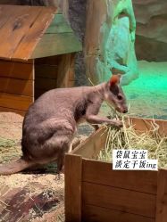 -Zoolung Zoolung动物主题公园(海信广场店)