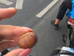 -阿男野栗王(金门路店)