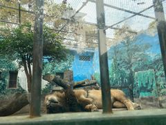 -成都动物园
