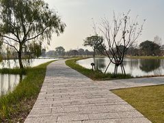 -良渚古城遗址公园