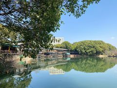 -张鸟园农家乐(张鸟园店)