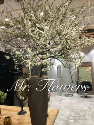 和良形象设计师作品情报-和良形象