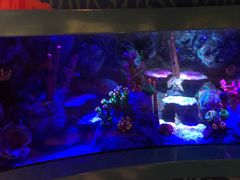 -沈阳海洋探索中心