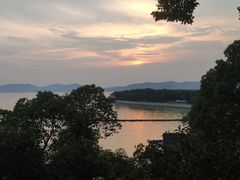 -上海市保健医疗中心